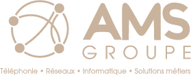 Logo AMS Groupe, client du Studio Leelooam